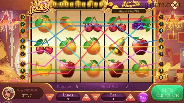 Configurações úteis dentro do app zhhbet